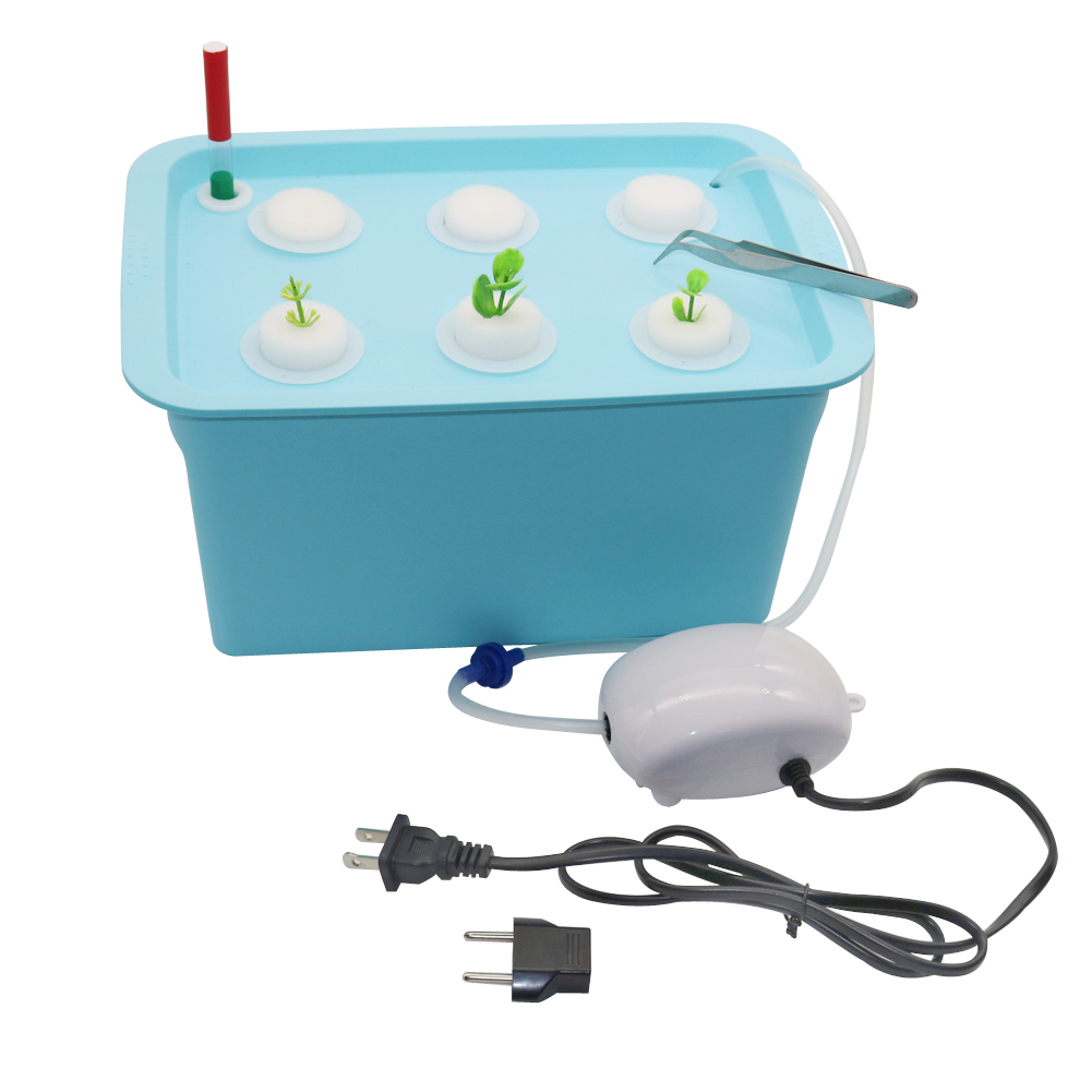 1 Set 6 Gat Plant Hydrocultuur - Net Pot 3 Inch recensie en prijs