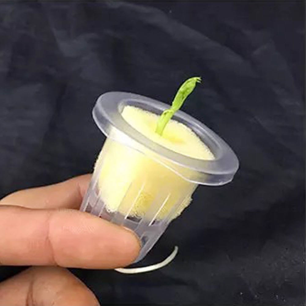 10 Stuks Hydrocultuur Mesh Cup - Net Pot 3 Inch recensie en prijs