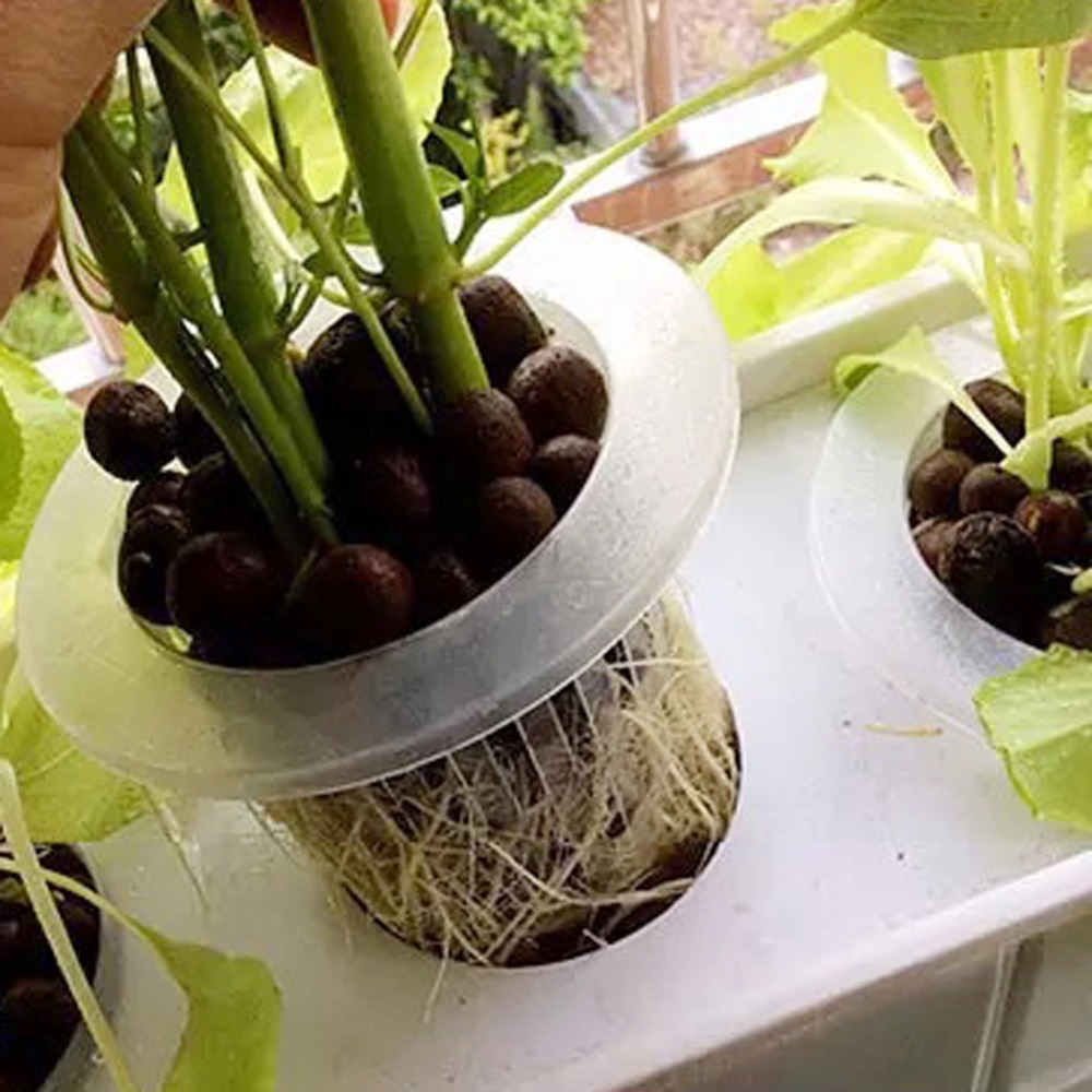 10 Stuks Hydrocultuur Mesh Cup - Net Pot 3 Inch recensie en prijs