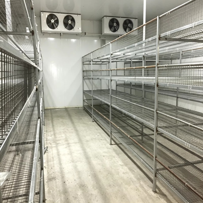 Hydroponische containerfarm me - Urban Farming Indoor recensie en prijs
