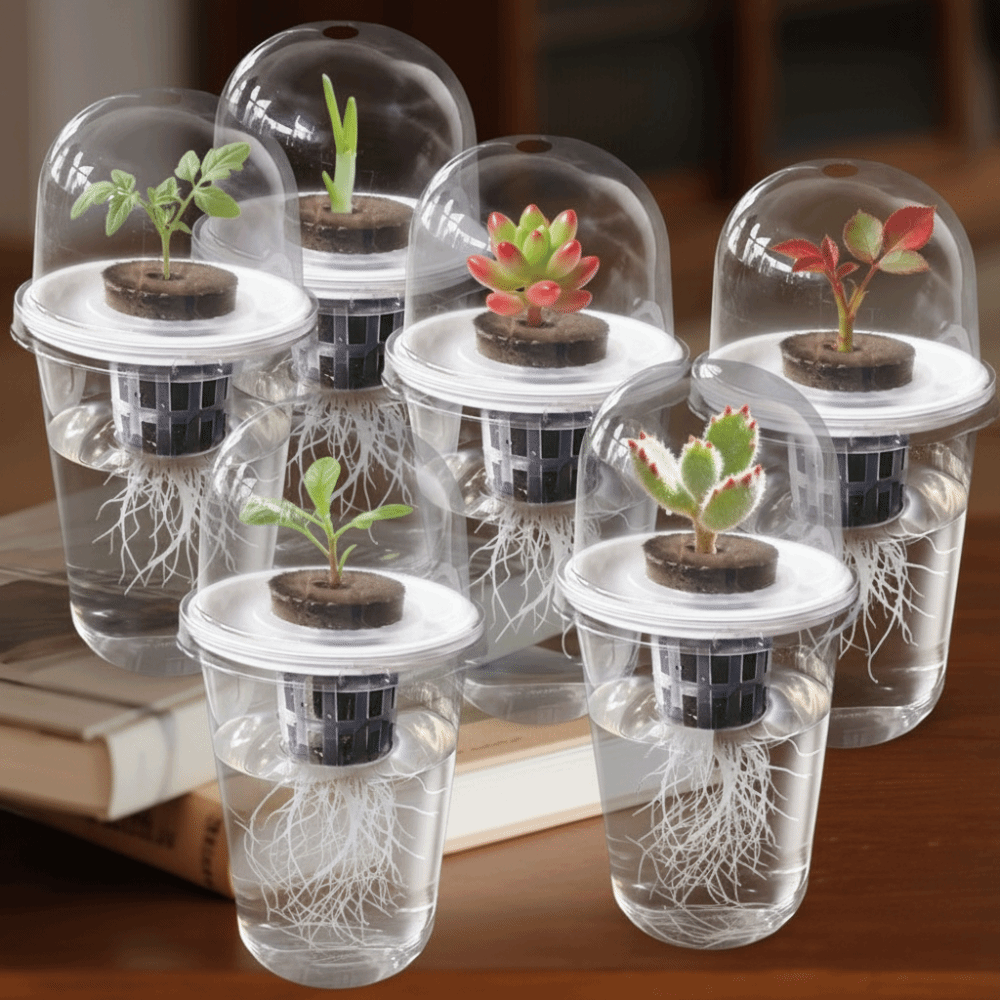 1-5pc Zichtbare Transparante P - Net Pot 3 Inch recensie en prijs