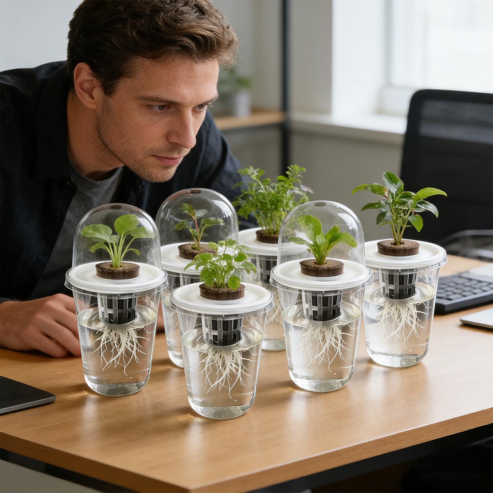 1-5pc Zichtbare Transparante P - Net Pot 3 Inch recensie en prijs
