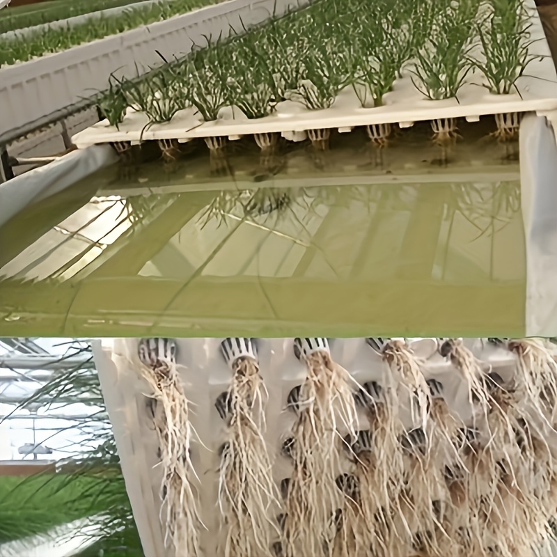 10-delige hydrocultuur zaailin - Net Pot 3 Inch recensie en prijs